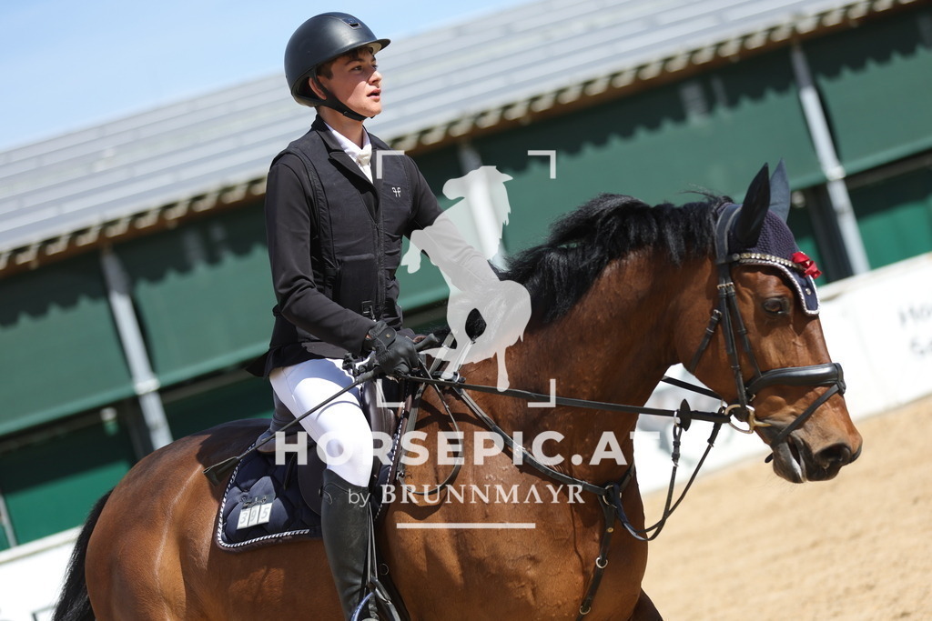 0P6A9383 | Willkommen bei Brunnmayr - Design & Fotografie – Ihrem Spezialisten für Reitturniere und Pferdeveranstaltungen in Oberösterreich, Salzburg und Bayern! Seit über 17 Jahren sind wir leidenschaftlich dabei.