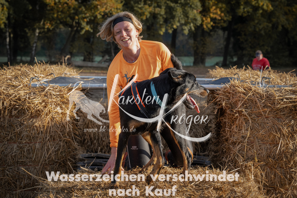 0950_ZZ95131 | kk-dogfotos