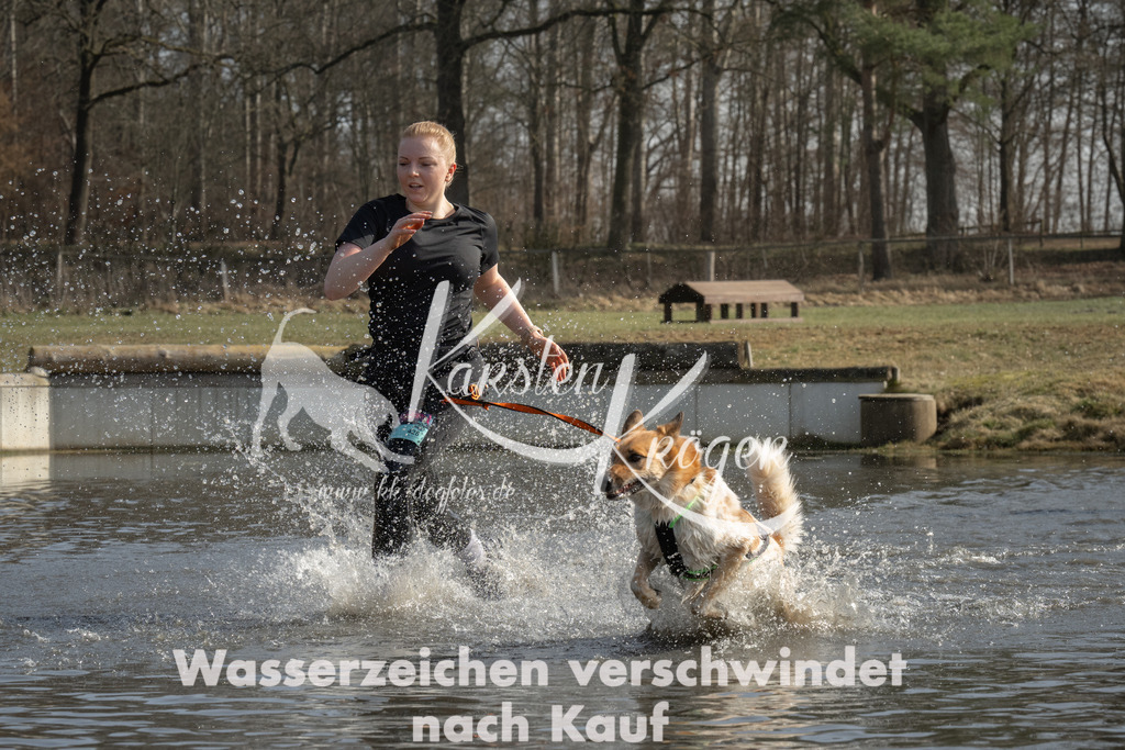 1250_ZZ92287 | kk-dogfotos