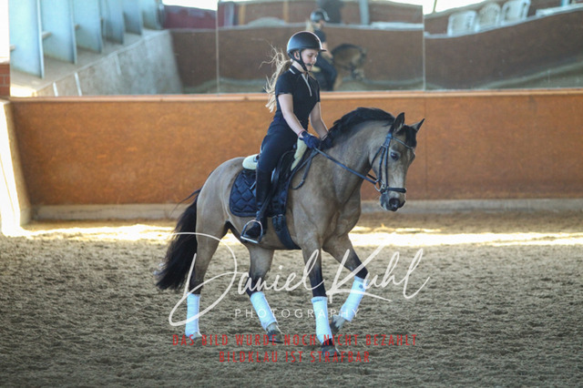 DKP42401 | Turniersportfotografie; Pferdefotografie; Dressurfotografie