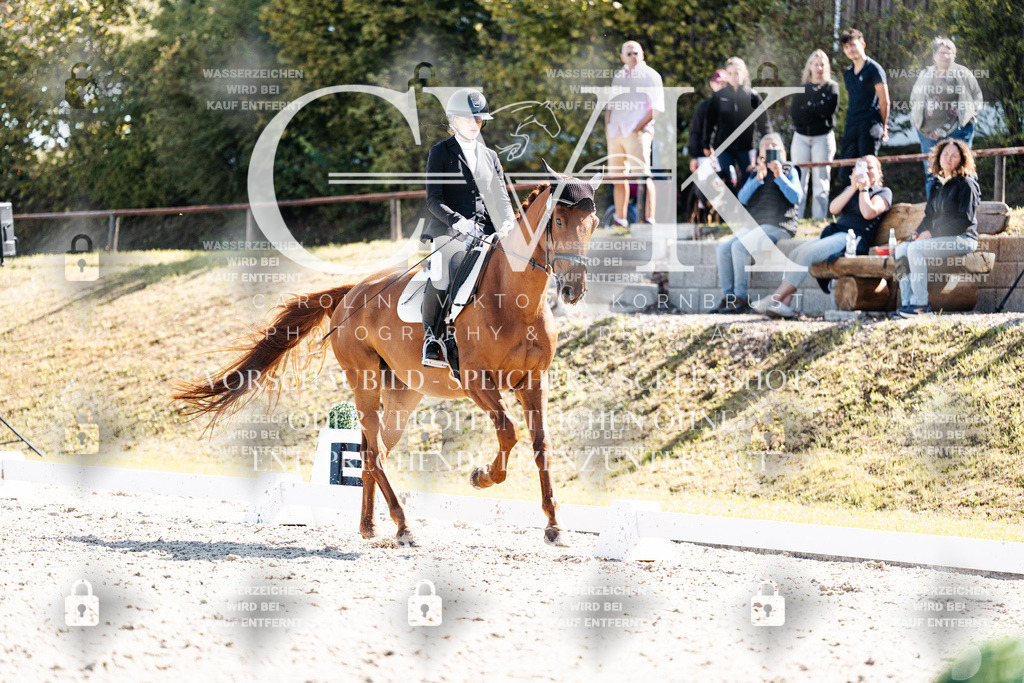 CK902863 | Turnierfotografie Pferdefotografie Trier Rheinland-Pfalz Pferdesport Reitsport Tierfotografie Sportfotografie Pferdevideo Pferdevideografie Equestrianvideography equestrianphotography  - Realisiert mit Pictrs.com
