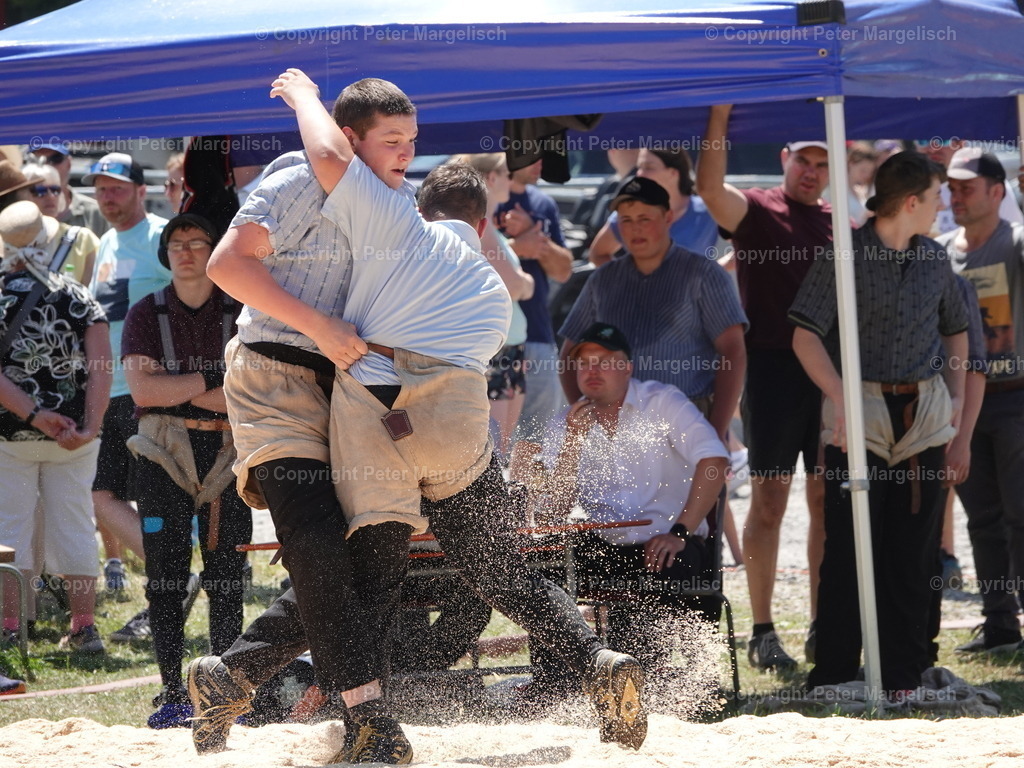 DSC04748 | Schwingen - Realisiert mit Pictrs.com