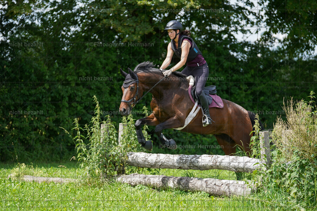 20240622-FAH07585 | Turnierfotografen Bayern, Reitsportbilder aus dem Geländekurs mit Felix Etzel auf dem Gut Waitzacker 2024