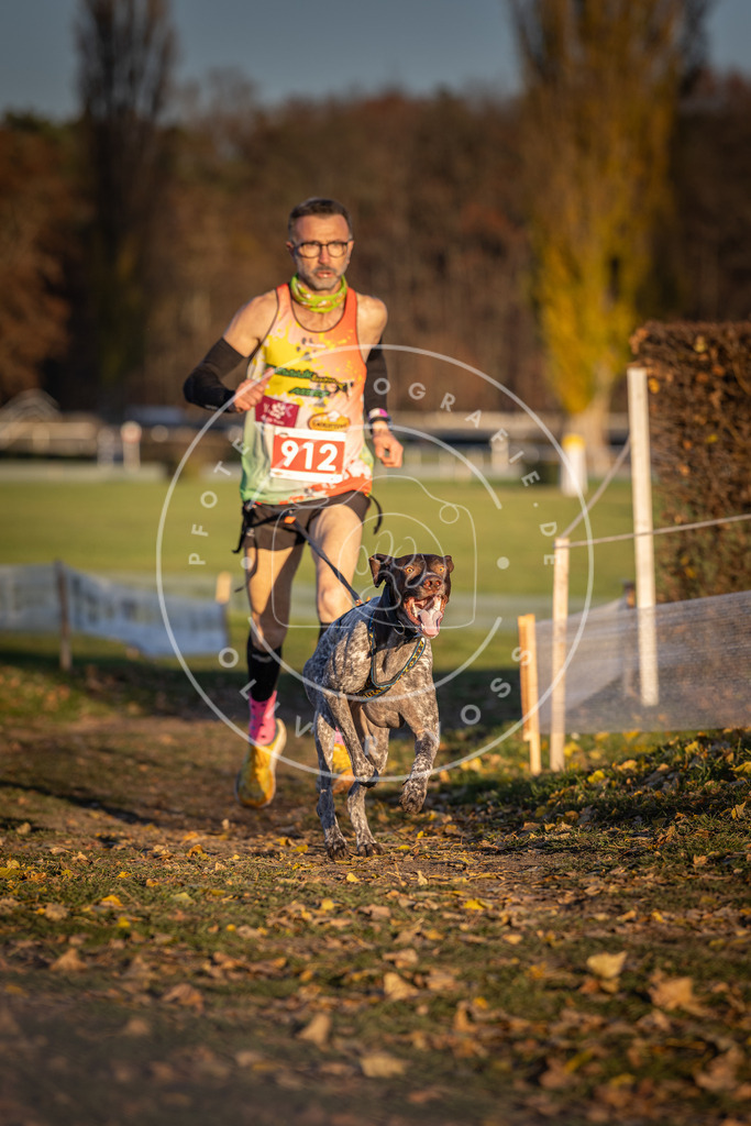 CaniXpix_DV3A4791 | Hundefotografie, Tierfotograf, Pfotenfotografie, Fotoshooting Hund, Hunde Portrait, Hundesport, Hundeportraits, Heideshooting, Hunde, Sportfotograf, Hundefotograf, Turnierhundsport, THS,  - Realisiert mit Pictrs.com