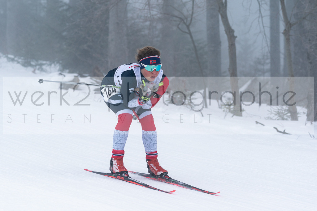 DSC Arber | Bayerischer Wald am 15. und 16. Januar 2022