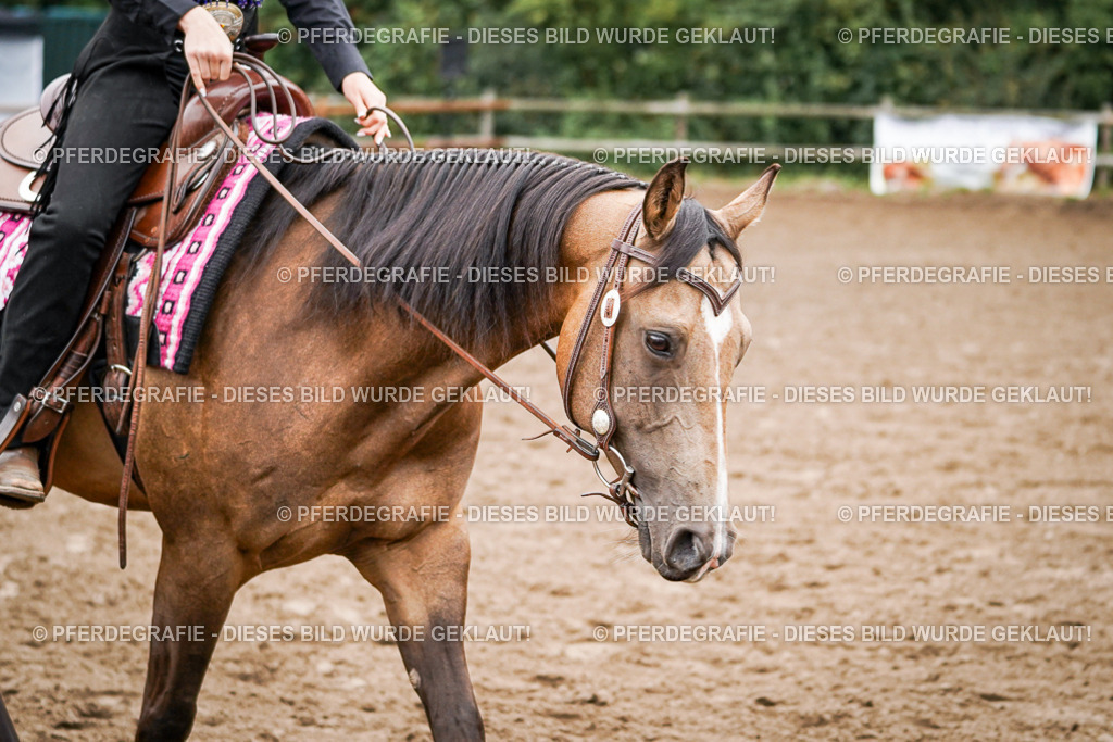 DSC02476 | Pferdegrafie