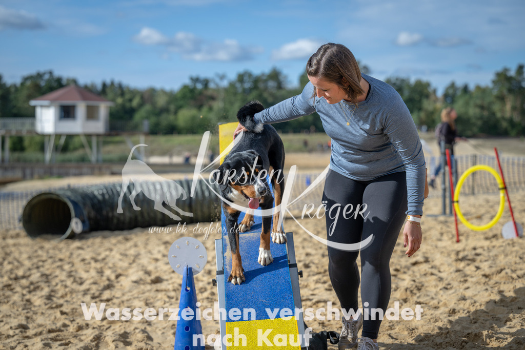 1442_ZZ91913 | kk-dogfotos