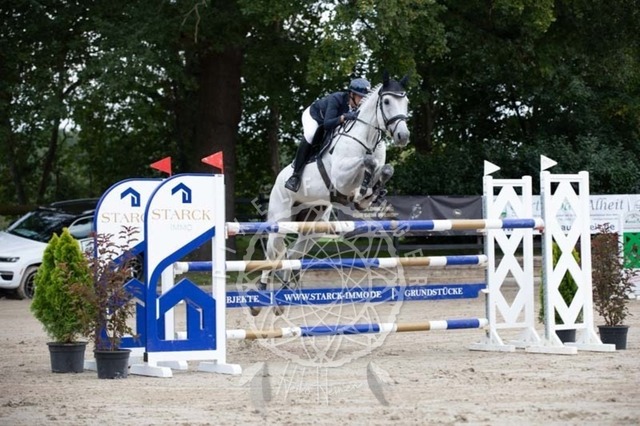 2B4A2463 | pixelfaenger - Realisiert mit Pictrs.com