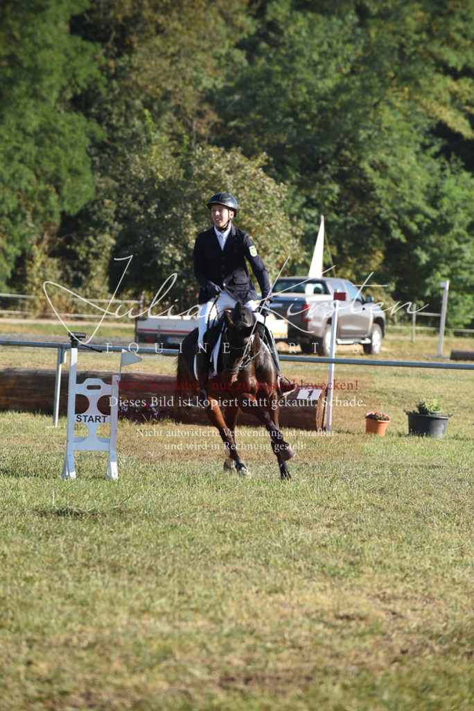 DSC_5065 | Pferde- und Turnierfotografie in Westsachsen. Pferdeportraits, Auftragszeichnungen und intuitive Kunst.