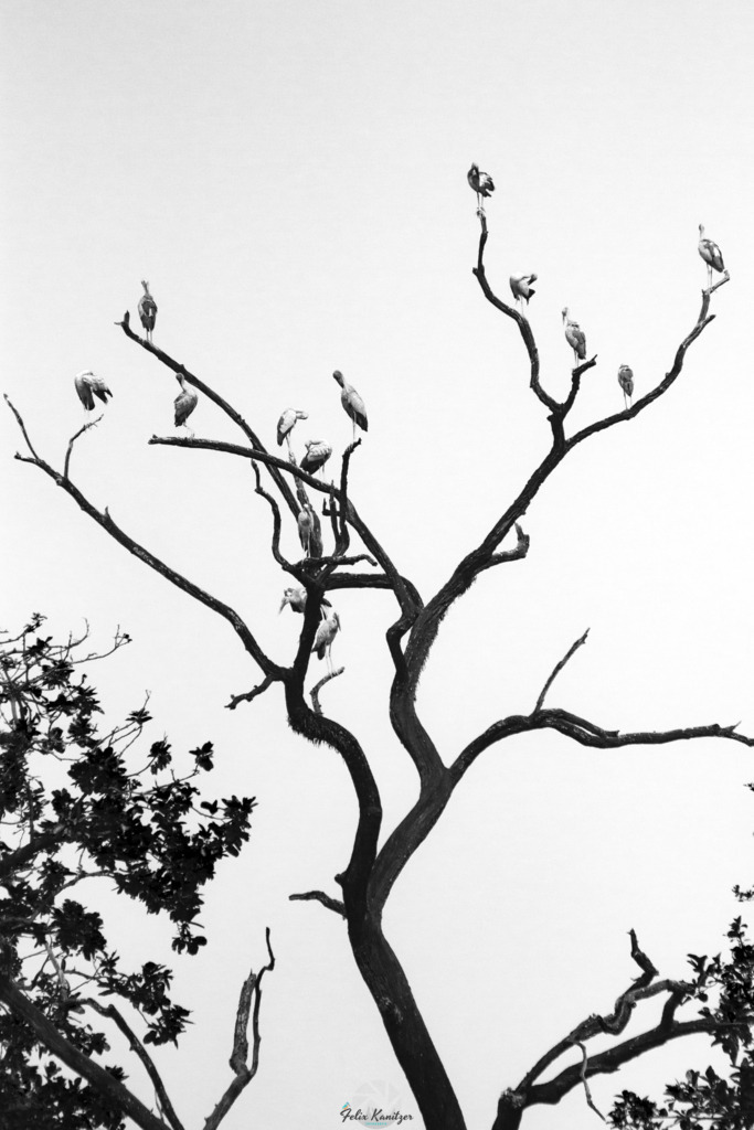 072_bw | Fotografie Felix Kanitzer  - Realisiert mit Pictrs.com