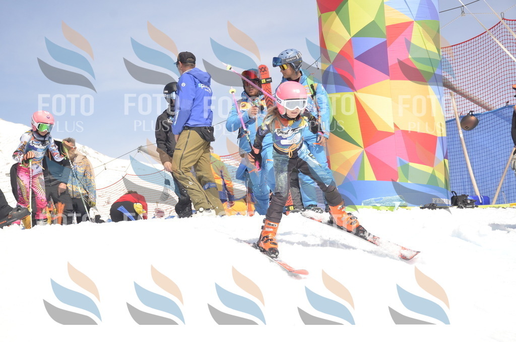 _ELE9318 | holidayphoto