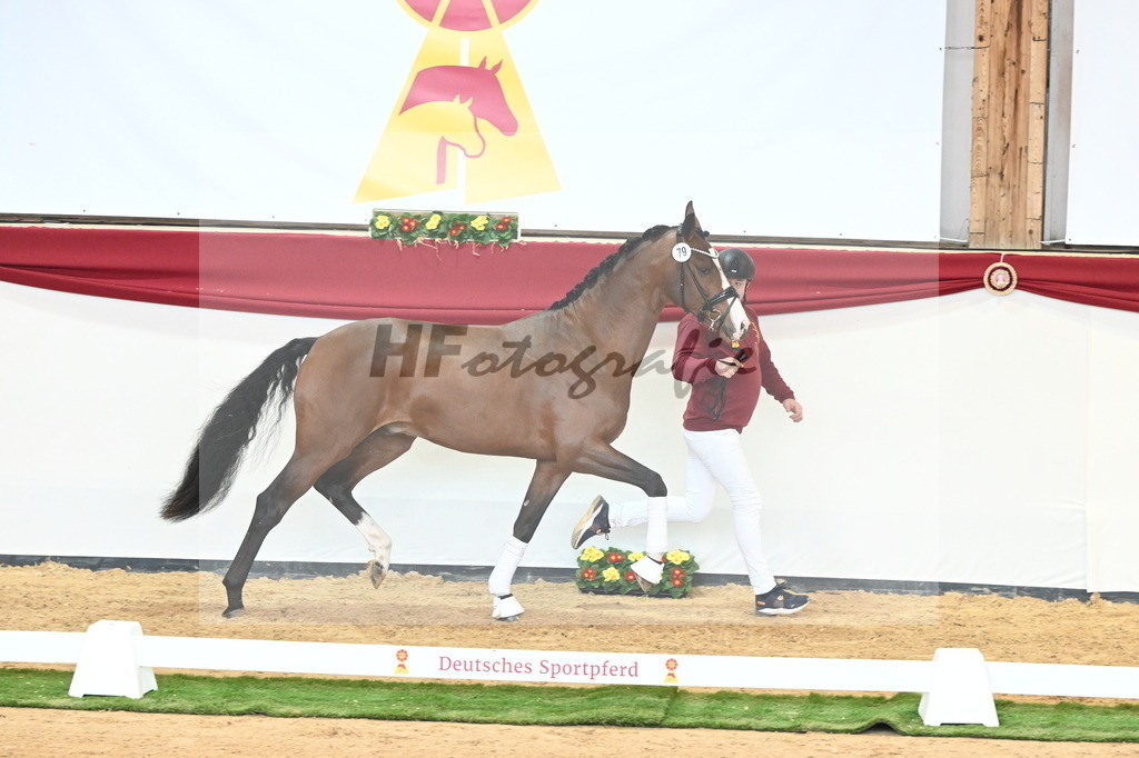 Kat.-Nr. 79 v. Valverde_Gaab_2241006 | hf-fotografie - Realizzato con Pictrs.com