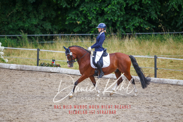 DKP47015 | Turniersportfotografie; Pferdefotografie; Dressurfotografie