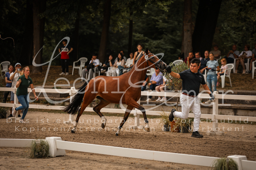 10.-12.Elite00034 | Leoni Ertmer Photography - Realisiert mit Pictrs.com