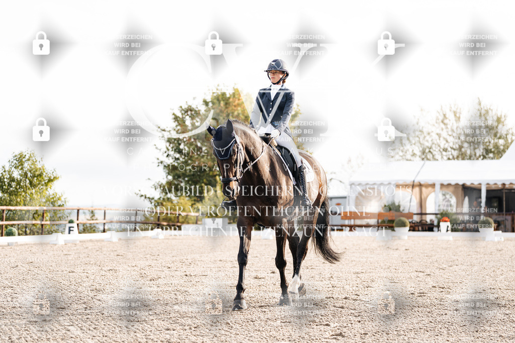 CK900387 | Turnierfotografie Pferdefotografie Trier Rheinland-Pfalz Pferdesport Reitsport Tierfotografie Sportfotografie Pferdevideo Pferdevideografie Equestrianvideography equestrianphotography  - Realisiert mit Pictrs.com