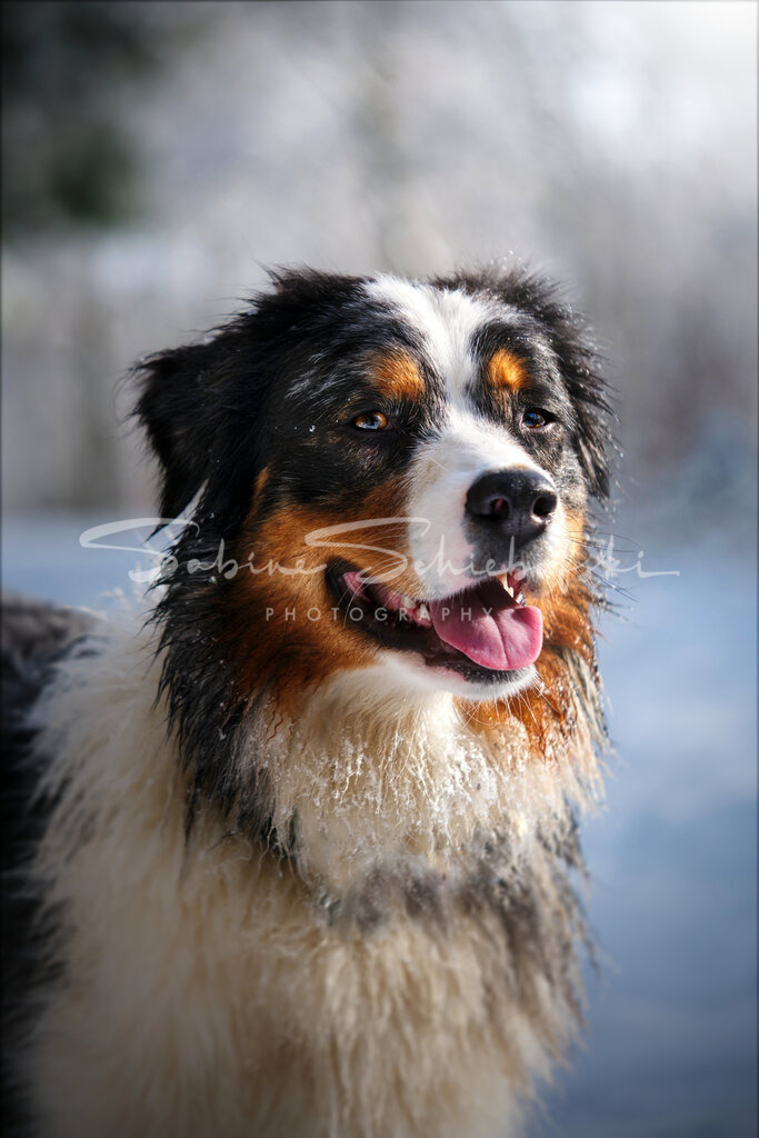 May_24-01-182024_01_18_DSCF5934 | People- und Tierfotografie, Imageaufnahmen, Veranstaltungsfotografie und Wandbilder aus der Natur ★ Made in Germany ✔️ Druck + Downloads ✔️ Naturfotografie in Top Qualität ★ schneller Versand, weltweite Lieferung! - Realisiert mit Pictrs.com