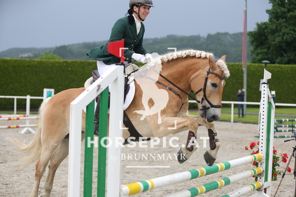 0P6A8107 | Willkommen bei Brunnmayr - Design & Fotografie – Ihrem Spezialisten für Reitturniere und Pferdeveranstaltungen in Oberösterreich, Salzburg und Bayern! Seit über 17 Jahren sind wir leidenschaftlich dabei.