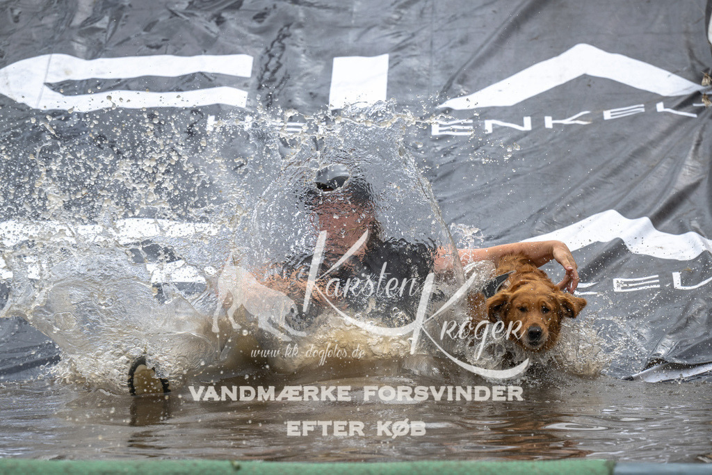 1531_ZZ94036 | kk-dogfotos