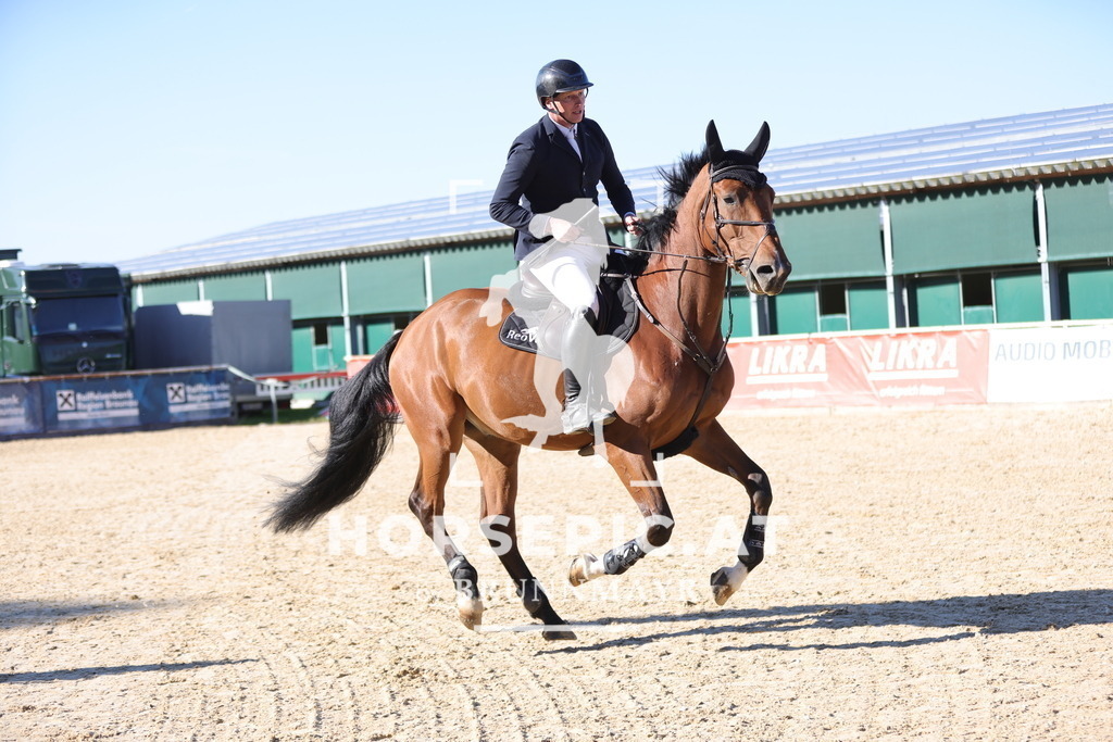 0P6A0980 | Willkommen bei Brunnmayr - Design & Fotografie – Ihrem Spezialisten für Reitturniere und Pferdeveranstaltungen in Oberösterreich, Salzburg und Bayern! Seit über 17 Jahren sind wir leidenschaftlich dabei.