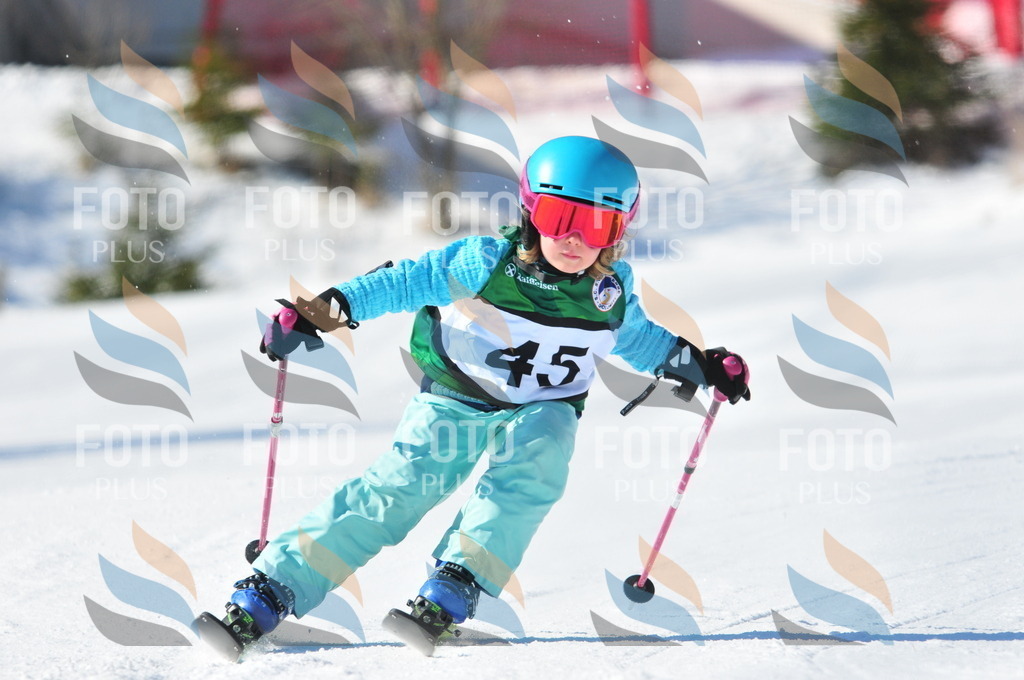 C2780 | holidayphoto