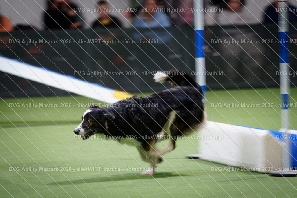 allesWIRTHgut_Tierfotografie-DVG_Agility_Masters_2026-16_50-7R508834 | Professionelle Tierfotografie in Mönchengladbach von Daniel Wirth (allesWIRTHgut). Liebevolle & natürliche Bilder von Hunden & Katzen für unvergessliche Erinnerungen.