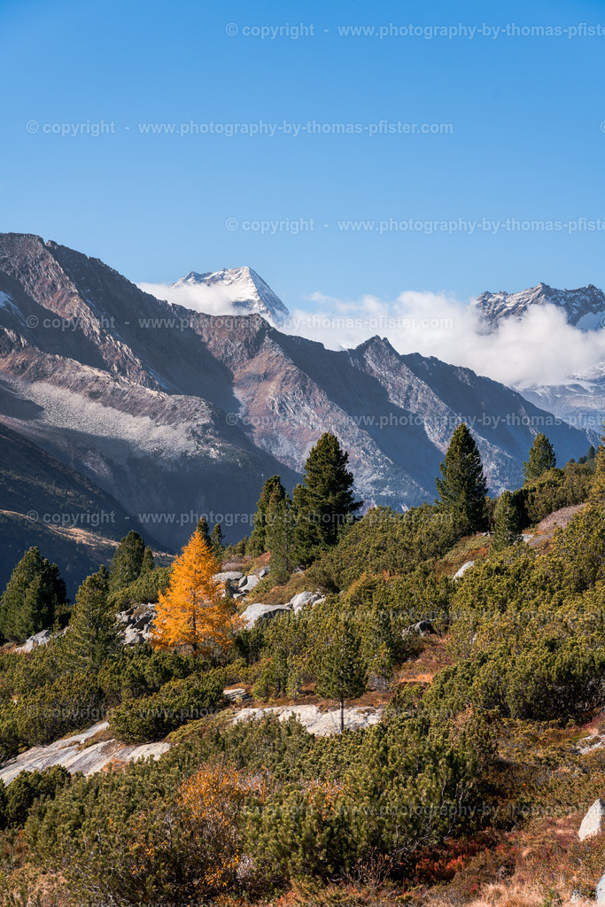 Zemmgrund Zillertaler Alpen copyright  Thomas Pfister-1 | PHOTOGRAPHY BY THOMAS PFISTER