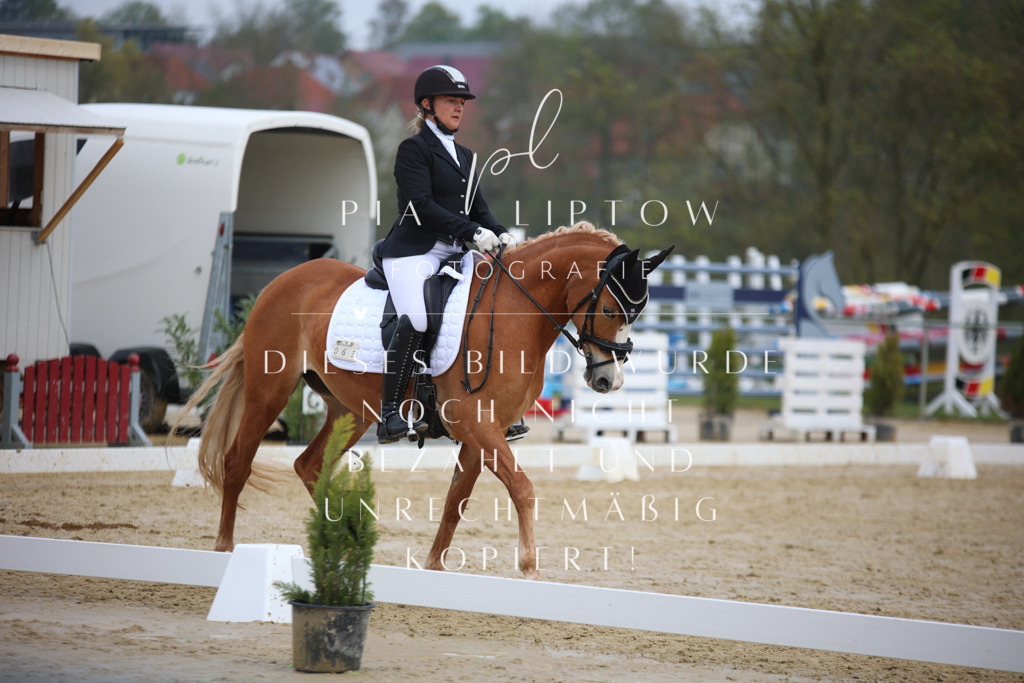 IMGT5534 | pl-fotografie