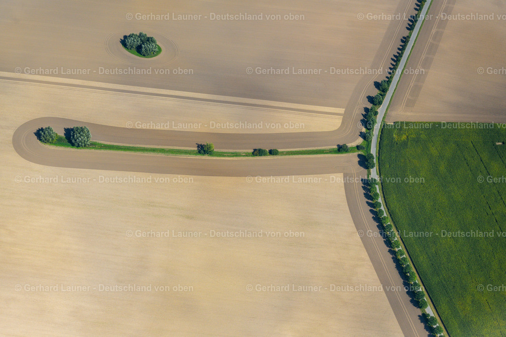 4061716 | NEUENPLEEN 08.09.2021 Baum- Inseln auf einem Feld in Neuenpleen im Bundesland Mecklenburg-Vorpommern, Deutschland. // Islands of trees in a field in Neuenpleen in the state Mecklenburg - Western Pomerania, Germany. Foto: Gerhard Launer