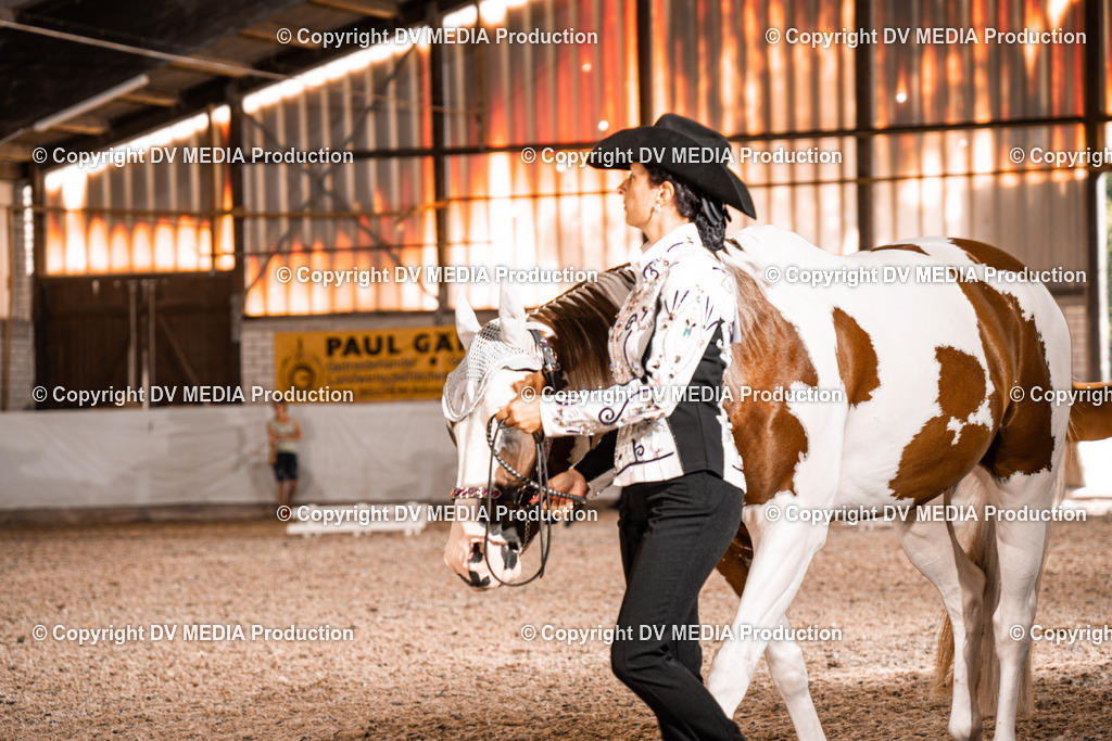 ZH200050 | dv-media-shop - Realisiert mit Pictrs.com