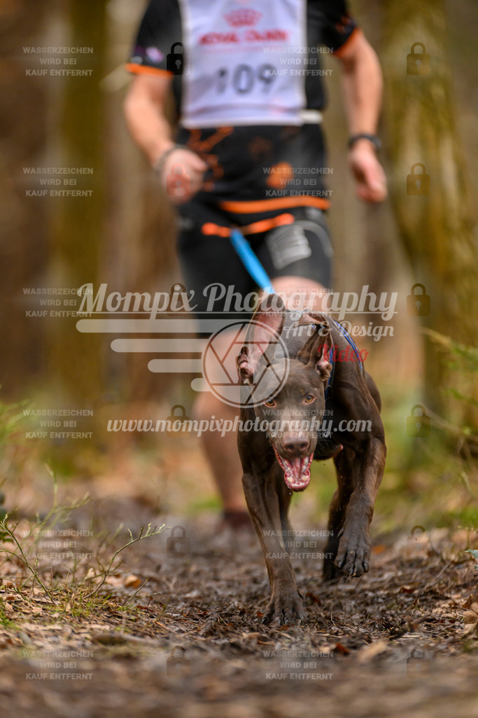 MompixPhotography_CDSM24_SA_Fun-19 | PayLife