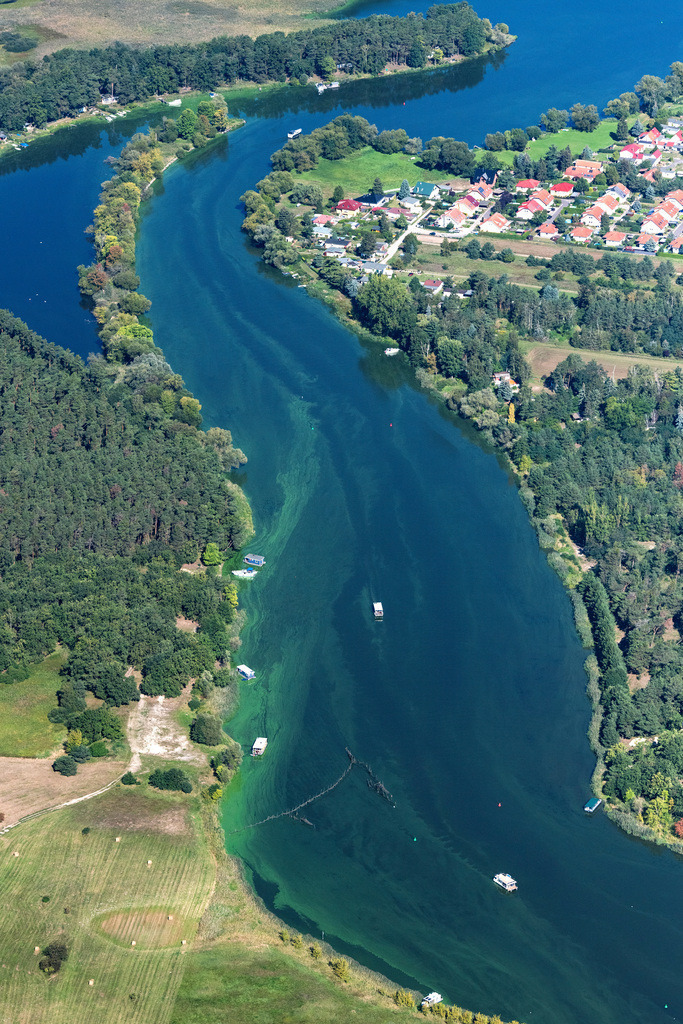 dr__0200013.jpg | BRANDENBURG AN DER HAVEL 06.09.2023 Uferbereiche am Flußverlauf der Havel an der Straße Mühlenweg in Brandenburg an der Havel im Bundesland Brandenburg, Deutschland. 
