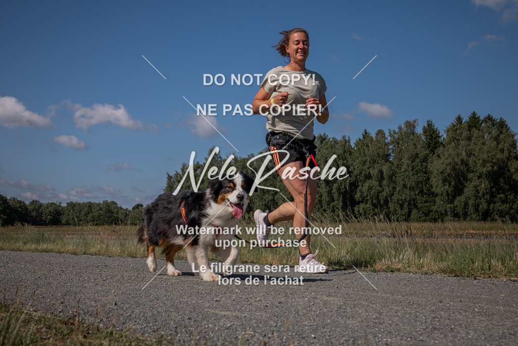 nelerasche_BuHu2026_SaCC10-11_12 | nelerasche