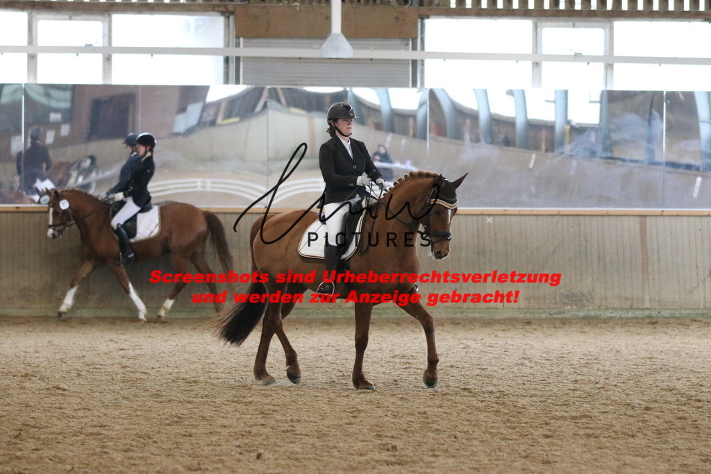 IMG_6929 | lmwpictures - Realisiert mit Pictrs.com