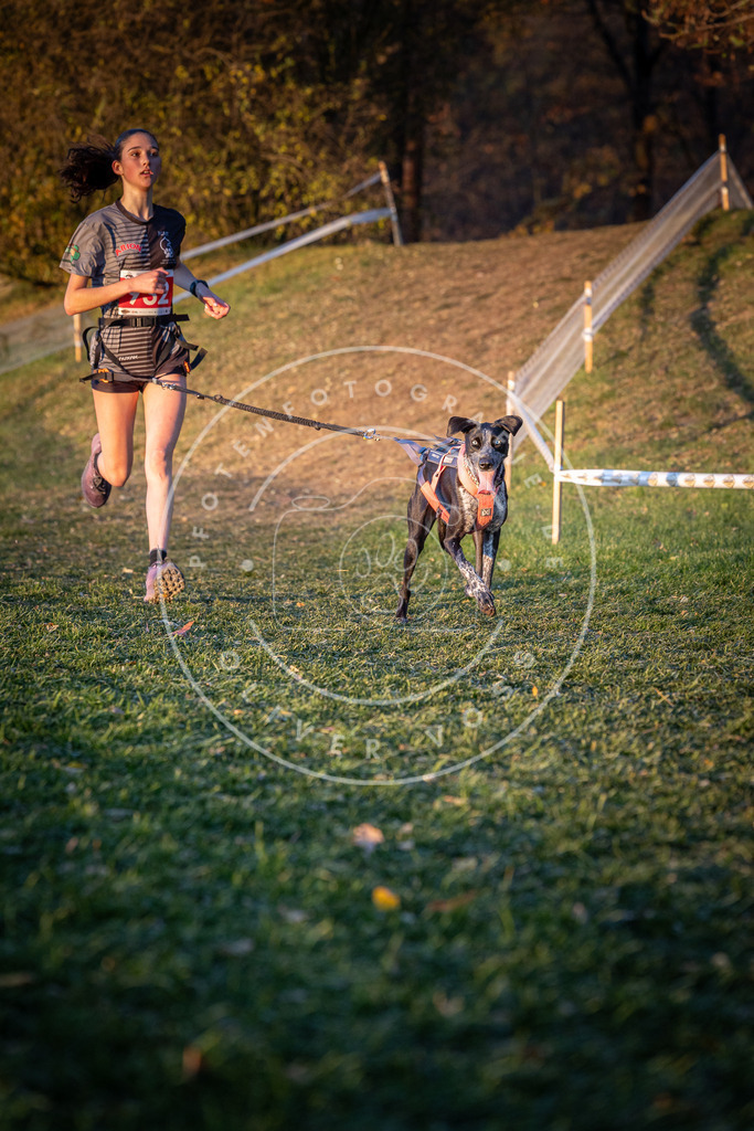 CaniXpix_0L8A1856 | Hundefotografie, Tierfotograf, Pfotenfotografie, Fotoshooting Hund, Hunde Portrait, Hundesport, Hundeportraits, Heideshooting, Hunde, Sportfotograf, Hundefotograf, Turnierhundsport, THS,  - Realisiert mit Pictrs.com