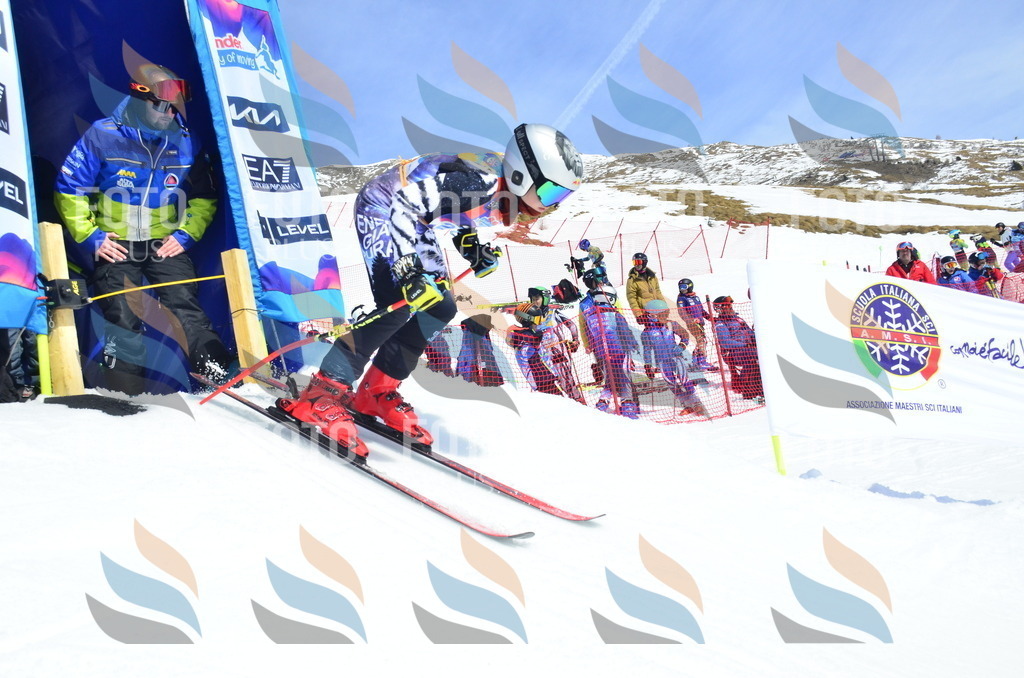 _ELE1597 | holidayphoto