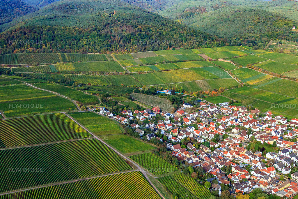 Luftbild: Weinlage Deidesheimer Paradiesgarten in Deidesheim im Bundesland Rheinland-Pfalz in Deutschland. Foto: IMG_22015.jpg vom 15.10.2009 durch Werner Riehm/FLY-FOTO.de