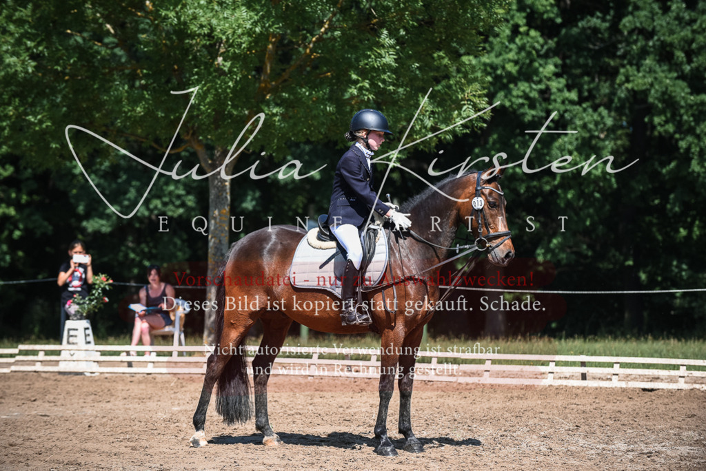 DSC_3340 | Pferde- und Turnierfotografie in Westsachsen. Pferdeportraits, Auftragszeichnungen und intuitive Kunst.