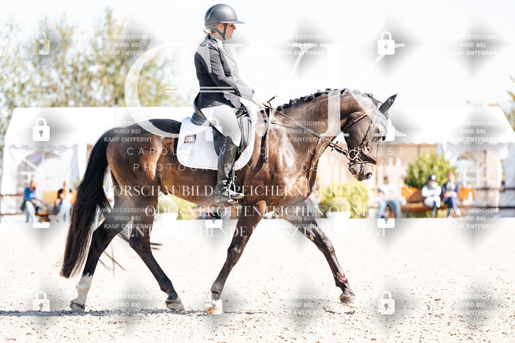 CK903545 | Turnierfotografie Pferdefotografie Trier Rheinland-Pfalz Pferdesport Reitsport Tierfotografie Sportfotografie Pferdevideo Pferdevideografie Equestrianvideography equestrianphotography  - Realisiert mit Pictrs.com