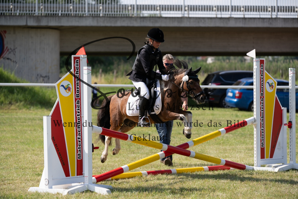 A7V00509 | Turnier/Reitfotograf
