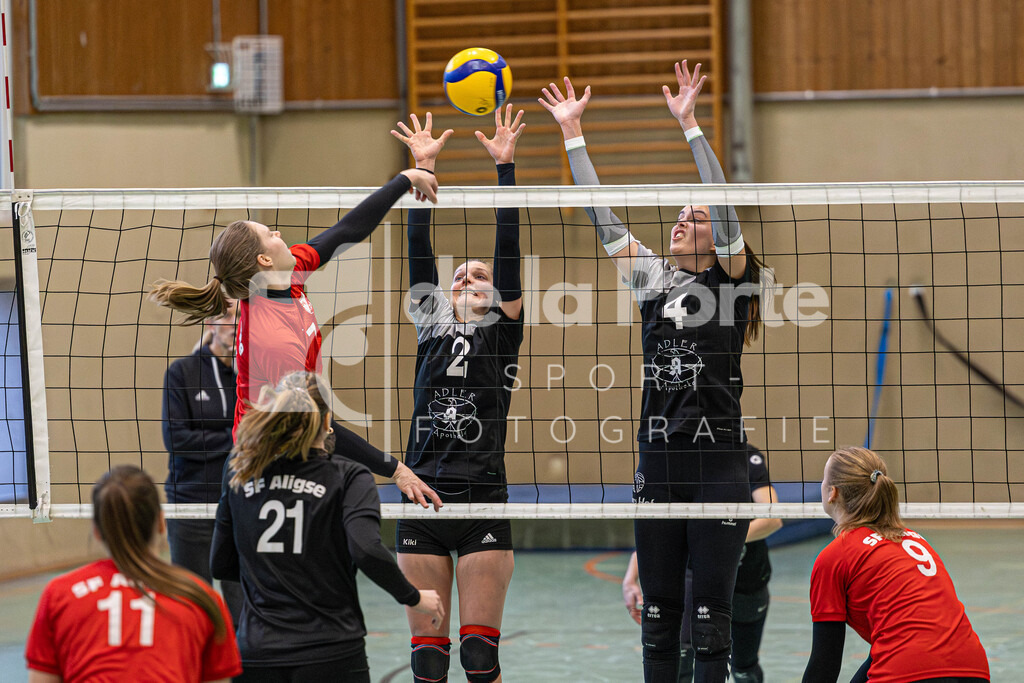 Heide Volleys Erste Frauen - Oetje_ Kirstin und Ariane Wienkämper (Zweierblock) vs SG Aligse 131225 dlP | immodelaporte-sportfotos - Realisiert mit Pictrs.com