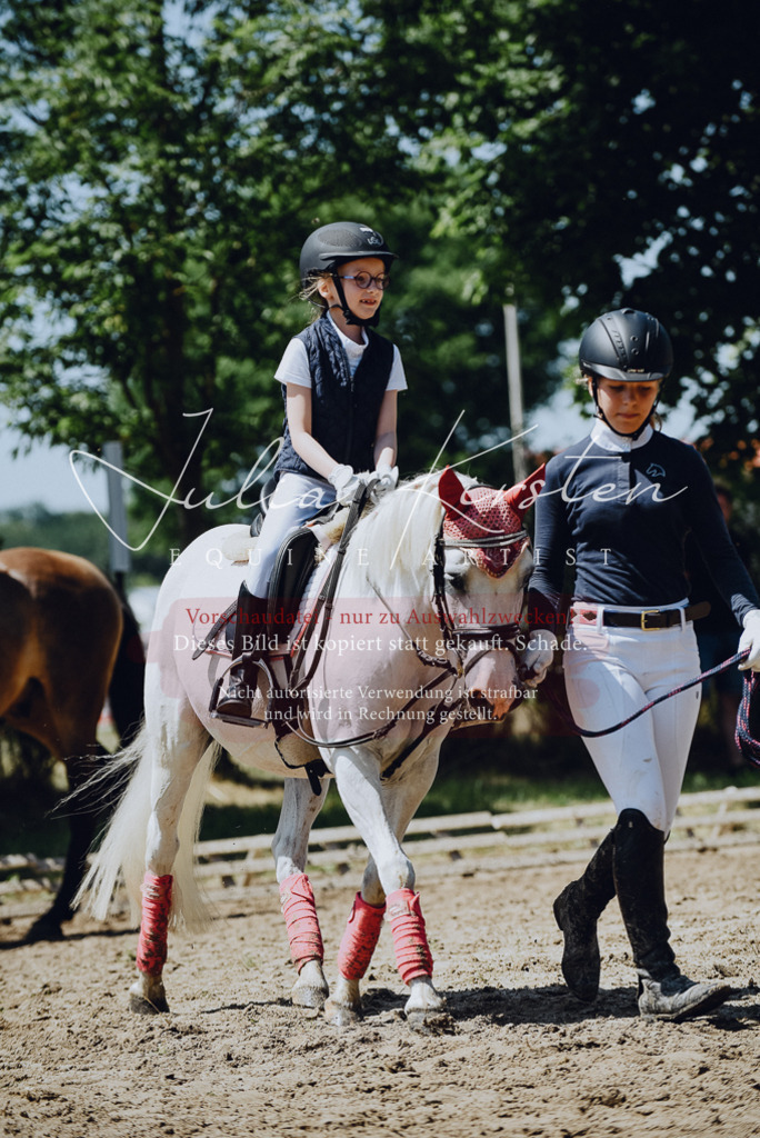 DSC_2555 | Pferde- und Turnierfotografie in Westsachsen. Pferdeportraits, Auftragszeichnungen und intuitive Kunst.