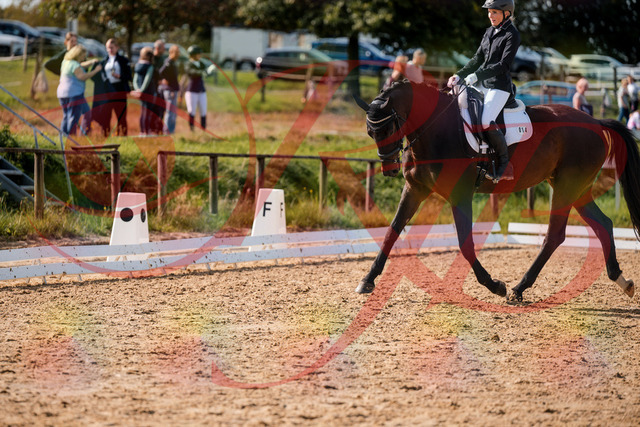 2026_10_03_Siefer-Hof_133641_Z63_97583960 | Professionelle Reitsport-, Turnier- und Eventfotografie von Robert Broda. Galerien mit ausgewählten und bearbeiteten Bildern direkt online ansehen und bestellen.