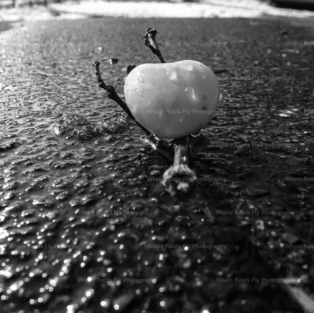 PSX_20250205_221147 | mtkfoto_ - Realisiert mit Pictrs.com