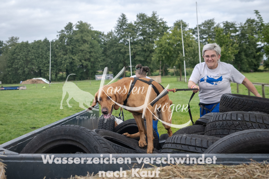 0956_ZZ92031 | kk-dogfotos