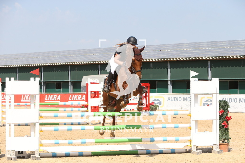 DL2Q1003 | Willkommen bei Brunnmayr - Design & Fotografie – Ihrem Spezialisten für Reitturniere und Pferdeveranstaltungen in Oberösterreich, Salzburg und Bayern! Seit über 17 Jahren sind wir leidenschaftlich dabei.