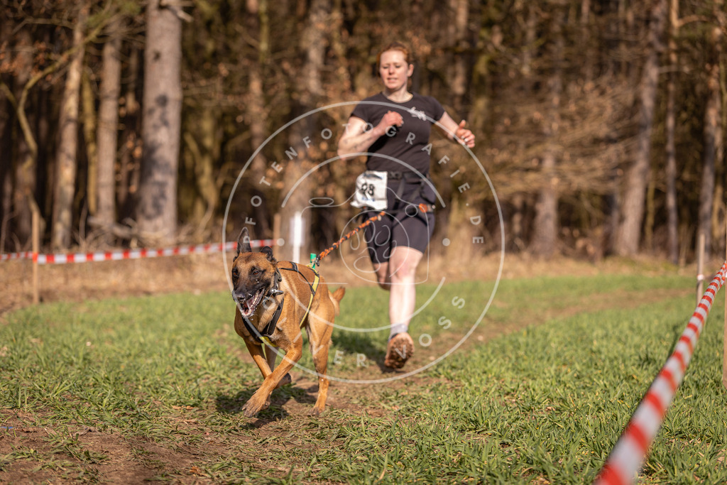 DV3A6423 | Hundefotografie, Tierfotograf, Pfotenfotografie, Fotoshooting Hund, Hunde Portrait, Hundesport, Hundeportraits, Heideshooting, Hunde, Sportfotograf, Hundefotograf, Turnierhundsport, THS,  - Realisiert mit Pictrs.com