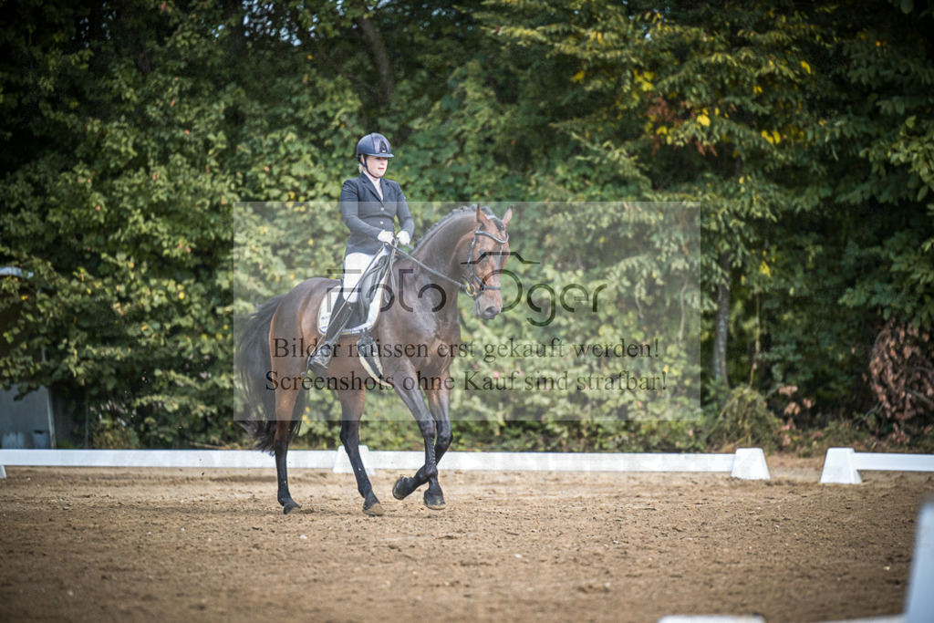 DOS_4093 | Entdecke hochwertige Reitturnierfotos von Foto Oger. Professionell, emotional und authentisch – jetzt Lieblingsmomente im Shop bestellen.Deutschlandweite Turnierfotografie. - Realisiert mit Pictrs.com