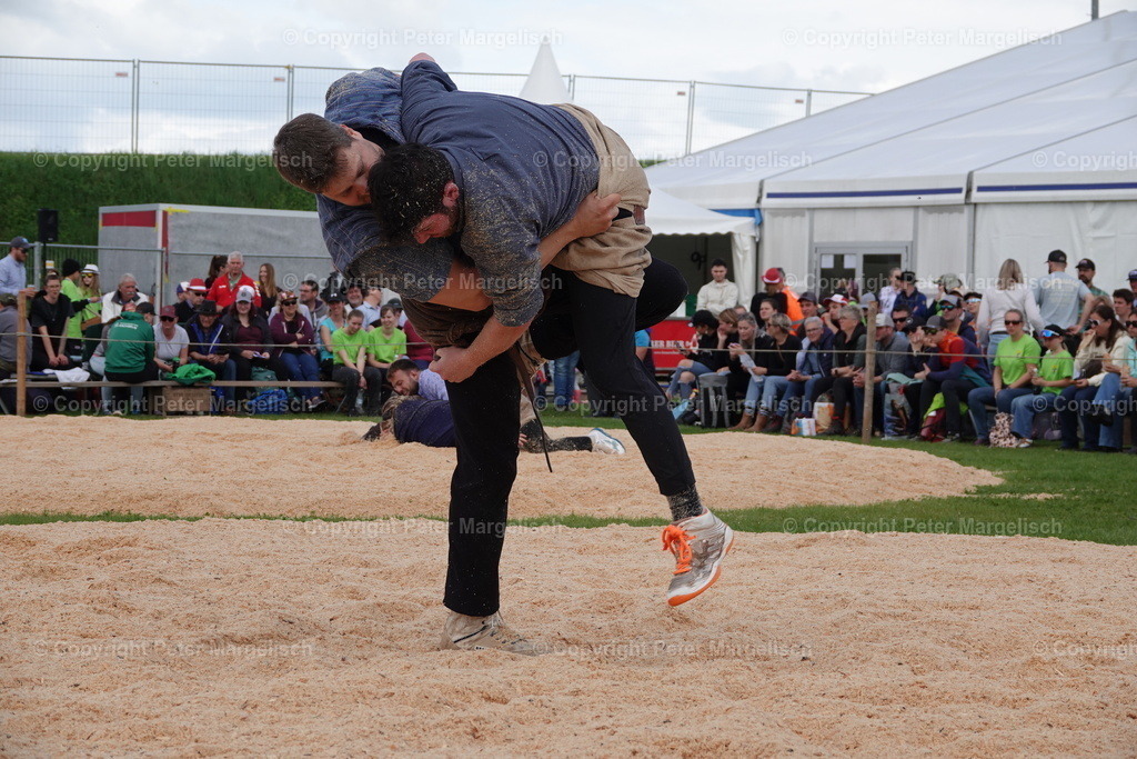 DSC00696 | Schwingen - Realisiert mit Pictrs.com