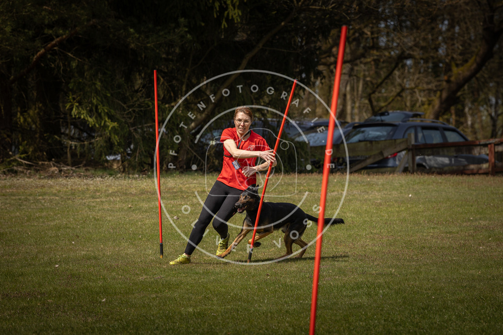 Pfotenfotografie_DV3A4876 | Hundefotografie, Tierfotograf, Pfotenfotografie, Fotoshooting Hund, Hunde Portrait, Hundesport, Hundeportraits, Heideshooting, Hunde, Sportfotograf, Hundefotograf, Turnierhundsport, THS,  - Realisiert mit Pictrs.com