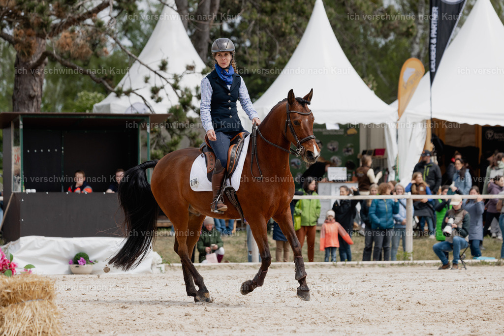 PI26_SP_StoibphotographyC2_C1209.jpg | working equitationturnier fotograf videograf stoibphotography marixx film working equitation deutschland reitsport turnierfotografie eventfotografie equestrian events